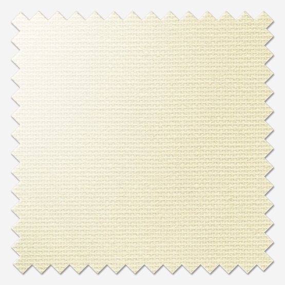 Ivory - Image 3